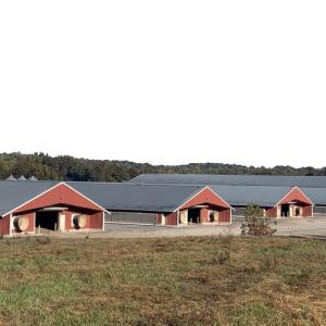 Lightweight Prefab Chicken House with 150mph Wind Resistance