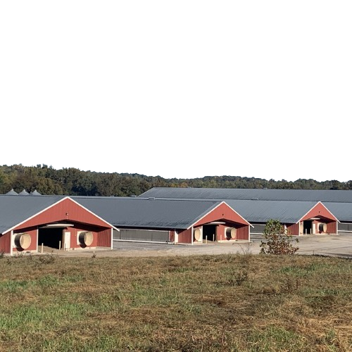 Buy Lightweight Prefab Chicken House with 150mph Wind Resistance at wholesale prices