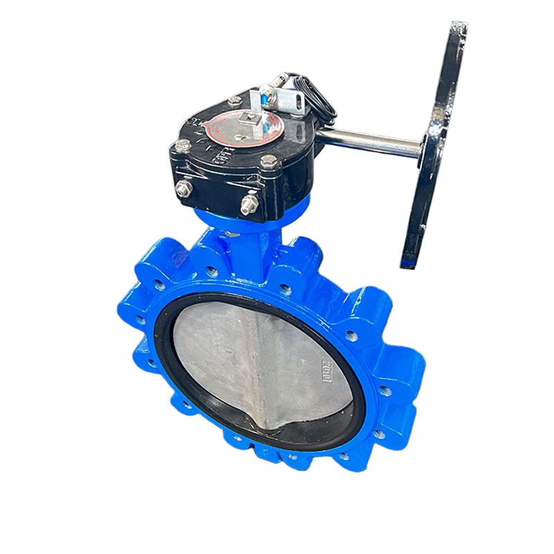 Lug type manual butterfly valve turbine lug butterfly valve lockable ductile