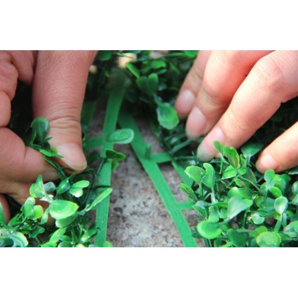 PE/PU Aglaia Odorata Artificial Plant Wall Green Color 10cm Height