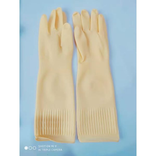 Upgrade Your B2B Business with Fitable Small Medium Large or X-Large 15 Inch