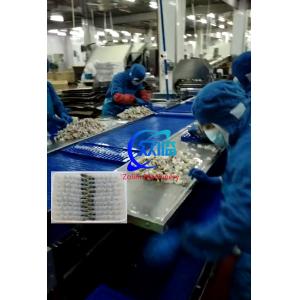 China High Quality And Cheap Automatic Tempura Machine With Shrimp Stretching Machine on sale