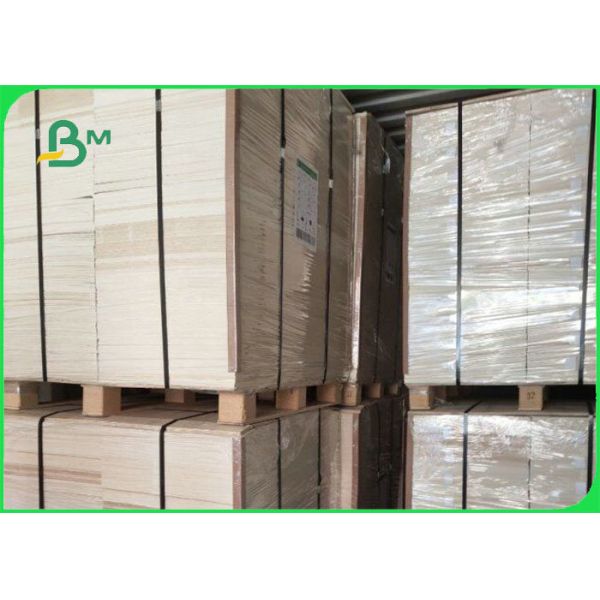 33'' * 41'' 0.6mm 1.0mm 1.2mm White Absorbent Paper For Beermat Board 33'' * 41'' 0.6mm 1.0mm 1.2mm White Absorbent Paper For Beermat Board