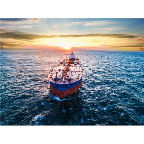 Buy FCL LCL Shipping Line Agency From China To America Canada at wholesale prices