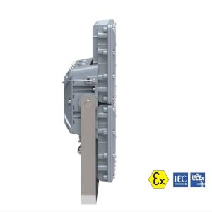 ATEX IECEx Paint Booth Explosion Proof Lighting Two Luminaires Assembly