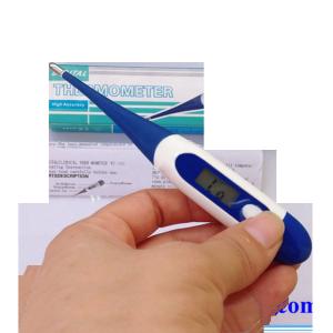 Quick Response Digital Body Thermometer , Forehead Ear Thermometer