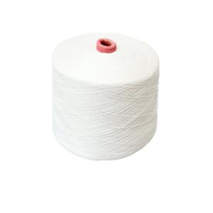 AA/AAA Grade 60/2 60/3 Raw White 100% Polyester Ring Spun Yarn Type of Sewing