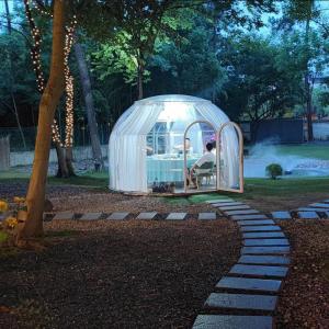 Green Houses Outdoor Bubble Tents Wooden Carton Packaging