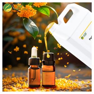 China 100% pure Purity Laurel Fragrance Oil Perfume With Free Sample on sale