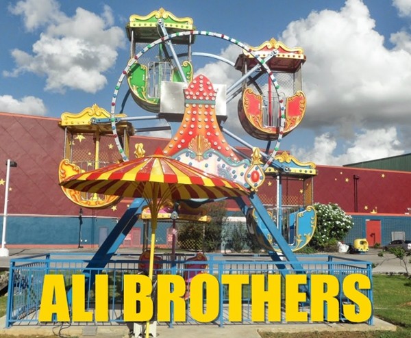 Christmas amusement rides for sale