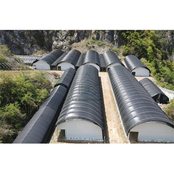 single-span blackout film greenhouse