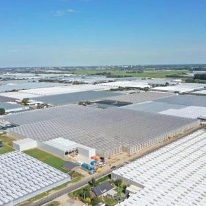 Cultivation Method Hydroponics Customized Glass Greenhouse for Cucumber