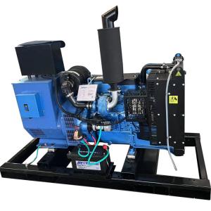 Quality 32KW Weichai Boduan Diesel Generator Backup Emergency Power Supply with Auto and Air for sale