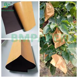 56gsm Brown And Black Fruit Mango Protective Bag Paper Rolls