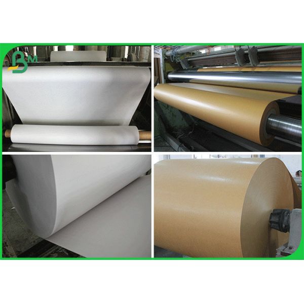 Plotter Paper Reel 24 Inches 36 Inches Plotter Paper Reel For Garments Industry Wide Format Printer