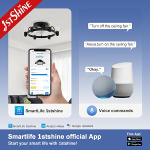 1stshine Ceiling Fan Light CE Elegant Black Flush Mounted Lighting Solutions