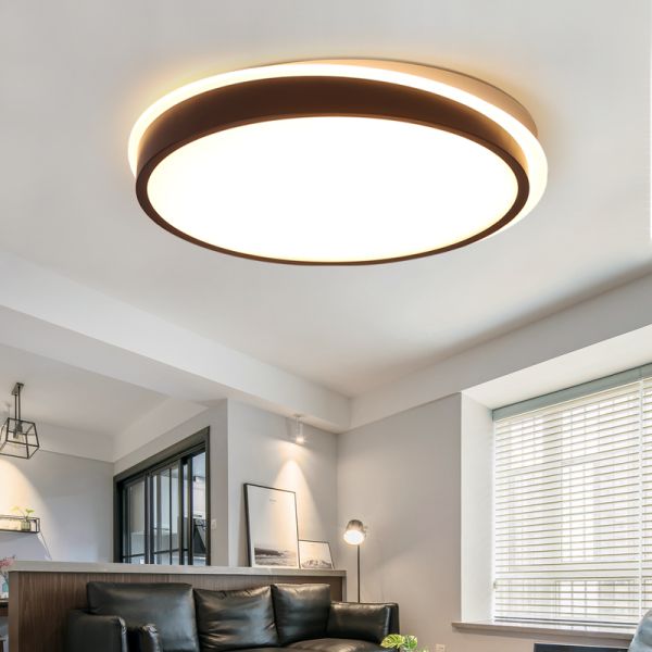 Contemporary Black White ceiling lights Indoor flush mount lighting (WH-MA-07)
