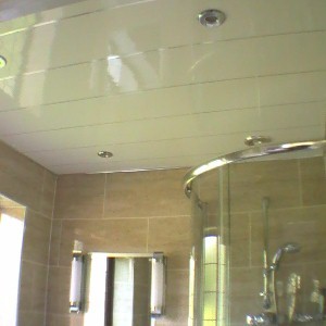 Buy Mouldproof UPVC Wall Panels Ceiling Covering Roof For Shower at wholesale prices