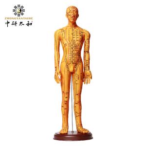 Acupuncture Needles Practice Model For Safe And Precise Training