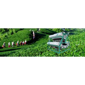 High Production Capacity CCD Tea Color Sorter Intelligent Tea Color Sorter