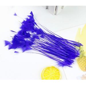 8-10cm Dyed Stripped Goose Carnival Feathers For Customer Requirements