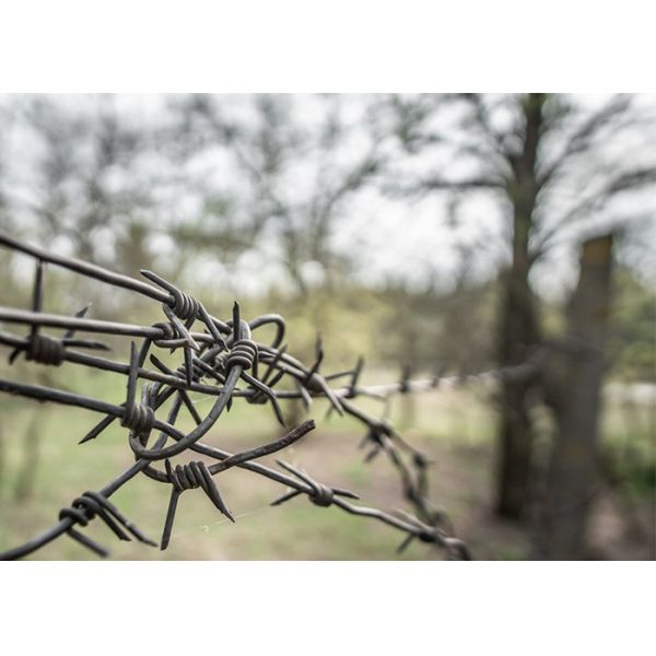 Garden Anti-Theft Length 200m Stainless Steel Barbed Wire Price Per Roll