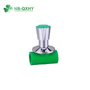 Brass-Enhanced PPR Water Pipe Fittings for Agricultural Pipes