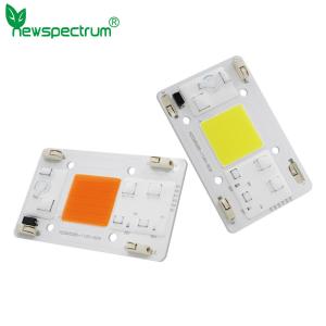 Quality AC110V AC COB LED 80W Full Spectrum Without Soldering Terminal for sale