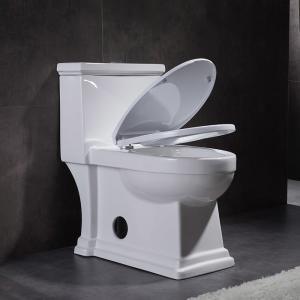 1.28gpf 4.8lpf Dual Flush single piece toilet bidet