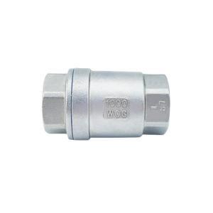 Vertical CF8M Stainless Steel 304 316 Spring Check Valve with NPT/BSPP/BSPT