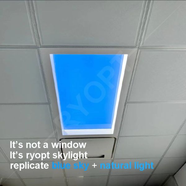 AC 100-240V LED panel light 50,000 hrs lifespan durable and efficient for office and commercial use