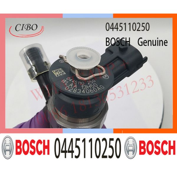 0445110250 Bosch Fuel Injector 0445110250 0986435123 0986435123 For FORD Ranger / Mazda BT-50 WLAA-13-H50 WLAA13H50