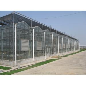 Large Agricultural Greenhouse with Galvanized Steel Frame and Optional Cooling