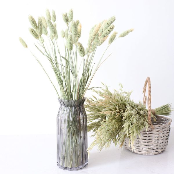 Buy Home Decorate 40cm Green Bristlegrass Dried Flower Bunches at wholesale prices