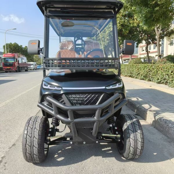 Sightseeing 6 Seat Lectric Lifted Golf Cart Free Shipping 4 Wheel Drive 4 Seat Club Buggy