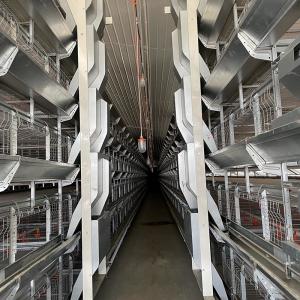 Automatic Production Egg Chicken Poultry Cage Professional Economical