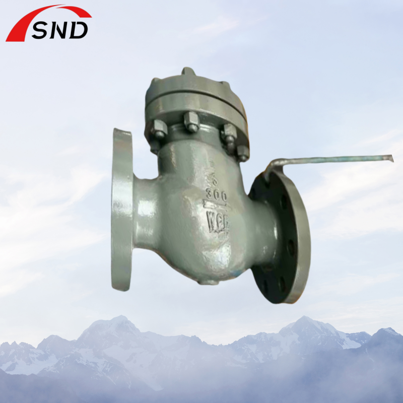 Flanged Cast Steel Globe Valves Used In Petroleum Chemical Power Industries