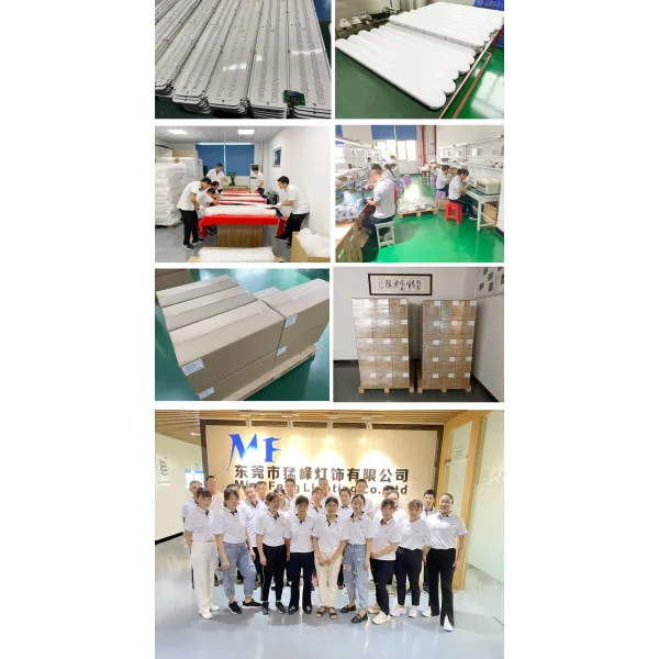 IP66 Ik08 2FT 4FT 5FT Waterproof Dustproof Robust Aluminum Linear Light 25W 35W 45W 50W 65W 75W LED Stainless Steel Waterproof Lamp LED Tri Proof Light