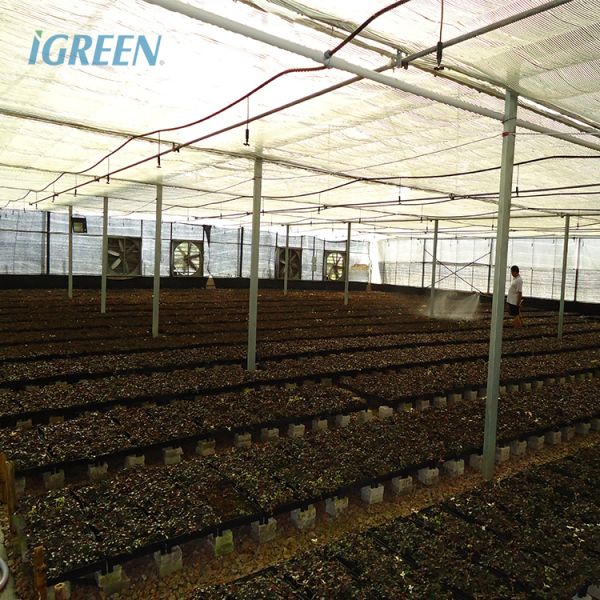 Film Type High Tunnel Greenhouse Customizable For Flowers Farming Demands