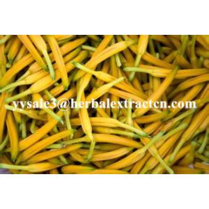 Daylily Extract natural NATURAL HERBAL ingredients Hemerocallia Fulva extract