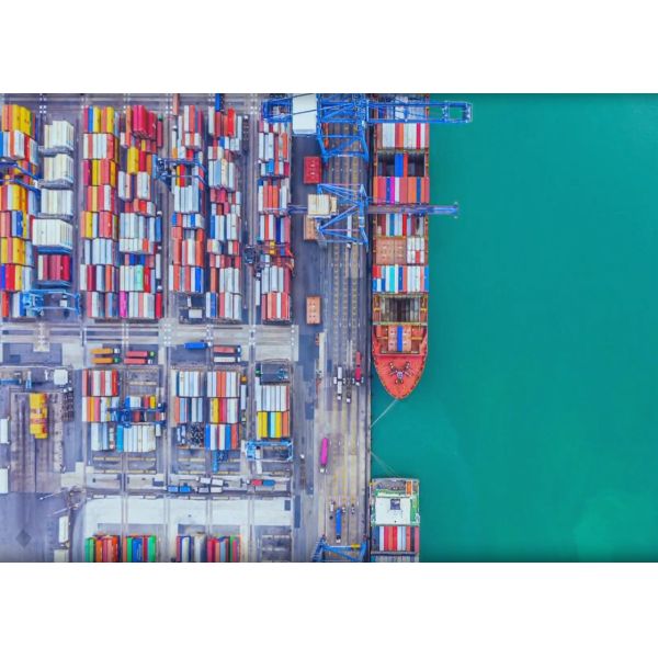 Buy Cargo Transportation DDP Sea Shipping Service With Customs Clearance at wholesale prices