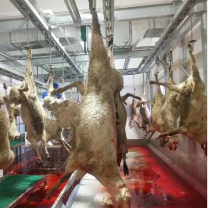 304 Stainless Steel Slaughterhouse Cow Machine 2480*1340*1480mm