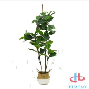 Beautiful Artificial Green Plants Pot ISO Standard