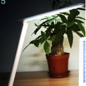 Quality led eye-protecting illumilation table lamp CTL-007 for sale