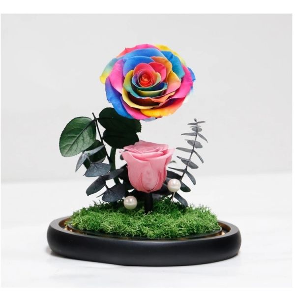New Shape Glass dome Preserved Long Lasting Rose With Curving Stem In Glass Bell