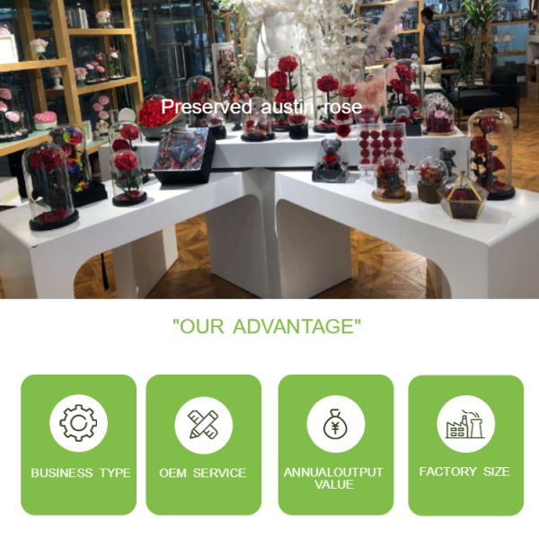 Valentines Wedding Preserved Fresh Flower Ladies Gift Drying Out Flowers