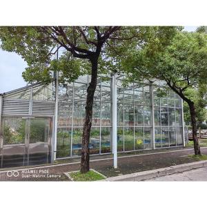 IGREEN Agricultural Venlo Glass Greenhouse to Grow Flowers and Seedlings
