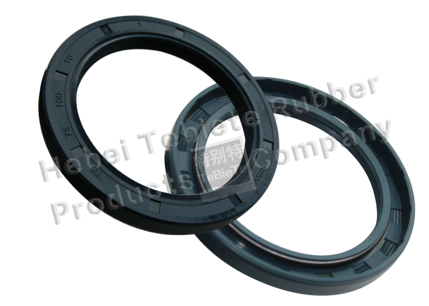 TC Type Crankshaft Oil Seal 75x100x10mm NBR Material Oil Resistance Temperature -40℃ - 300℃