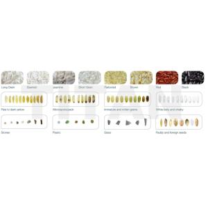 WENYAO Color Sorter Optical CCD Rice Sesame Walnut Cereal Color Sorting Machine