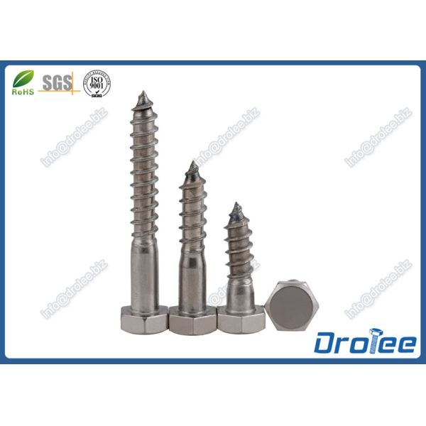 Buy A2 / 304 Stainless Steel DIN 571 Hex Wood Screw, Lag Screw at wholesale prices